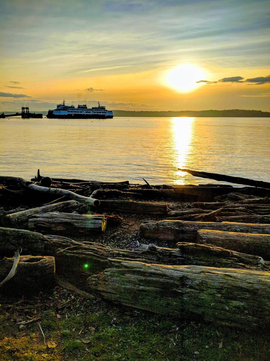 Driftwood Sculpture Walk, Lincoln Park, West Seattle | 7398 Beach Dr SW, Seattle, WA 98136, USA | Phone: (206) 452-3991