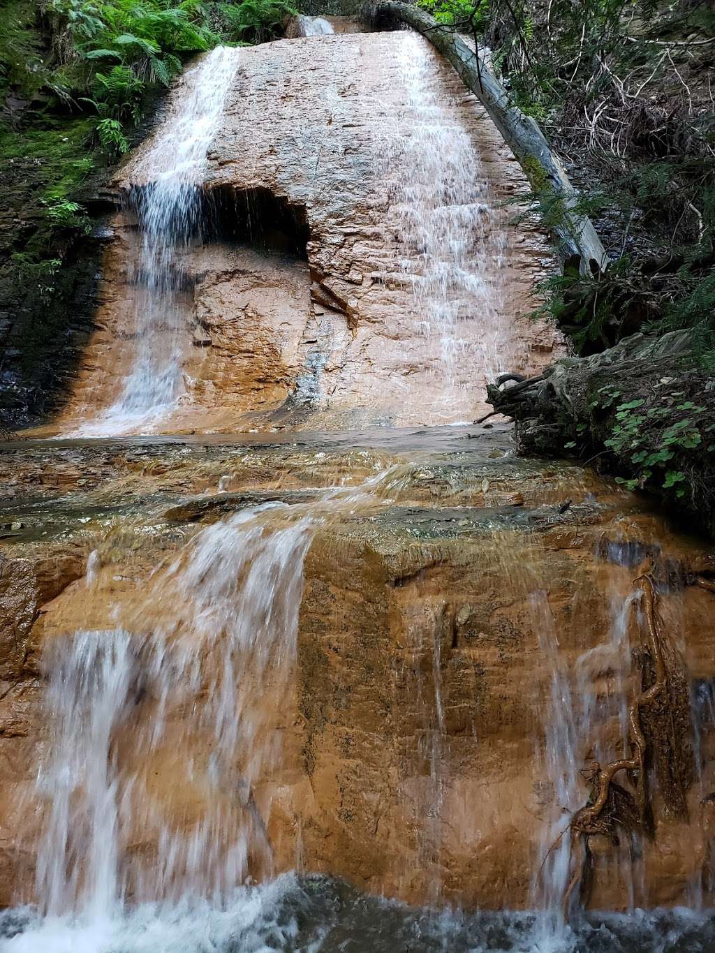 Golden Falls | Davenport, CA 95017, USA