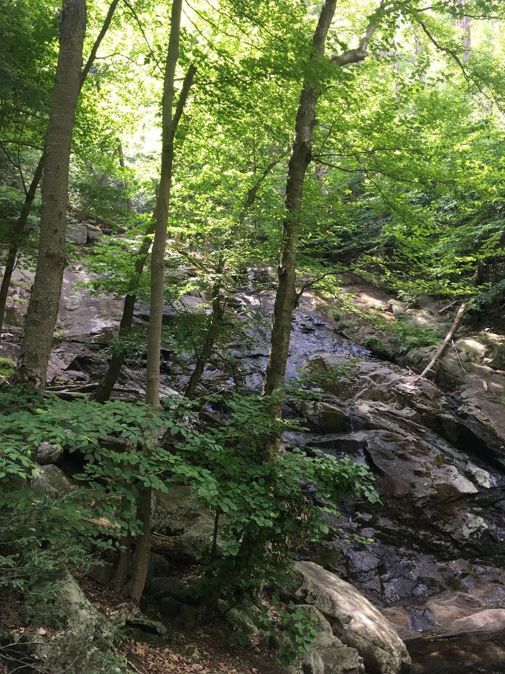 Black Rock - Mineral Springs Hiking trail | 2-16 Old Mineral Springs Rd, Highland Mills, NY 10930, USA