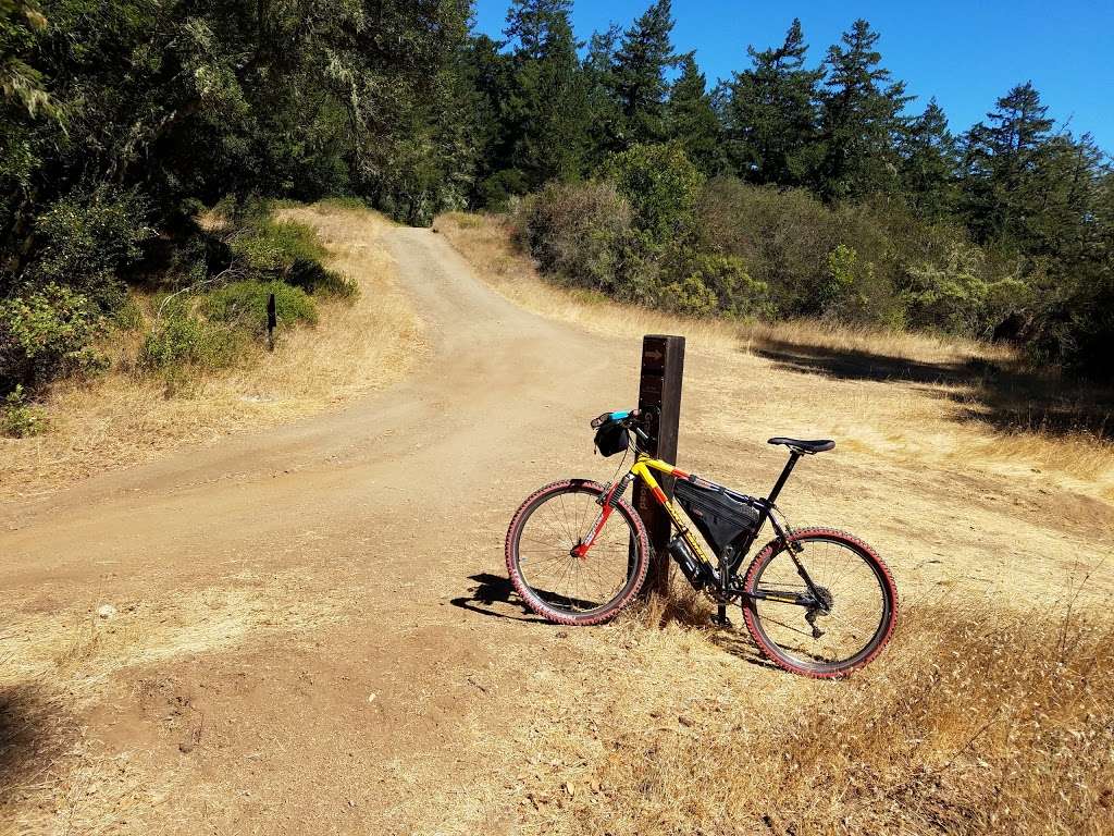 Gary Giacomini Open Space Preserve | San Geronimo Ridge Rd, Forest Knolls, CA 94933