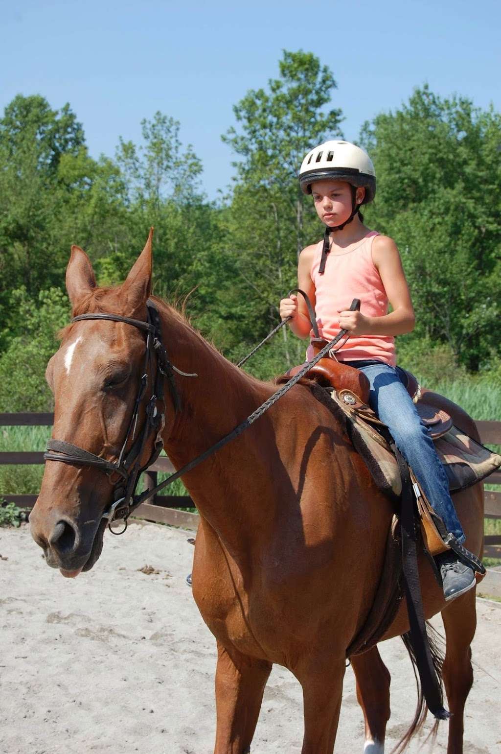 West Point FMWR Morgan Farm Riding Stables and Kennel | 2026 Morgan Farm Rd, Highland Falls, NY 10928, USA | Phone: (845) 938-3926