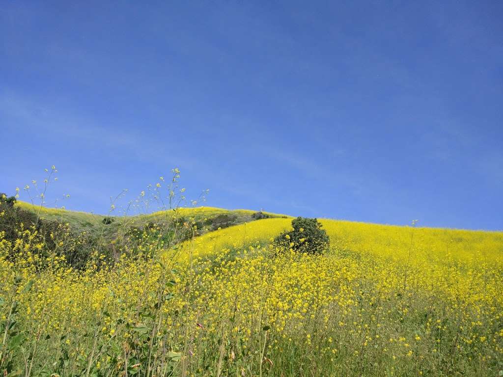 Coastal Peak Park | 20403 E Coastal Peak, Newport Coast, CA 92657, USA | Phone: (949) 644-3309