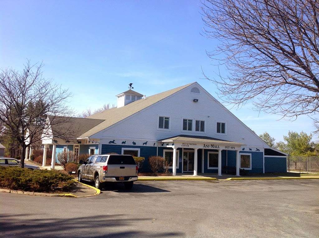 Ani-Mall Pet Hospital | 877 New York Route 17M, Middletown, NY 10940 | Phone: (845) 361-3600