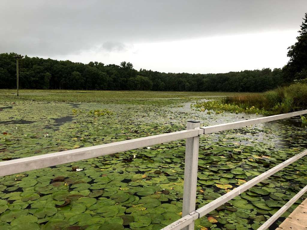 Cash Lake Trail | Cash Lake Trail, Laurel, MD 20708, USA