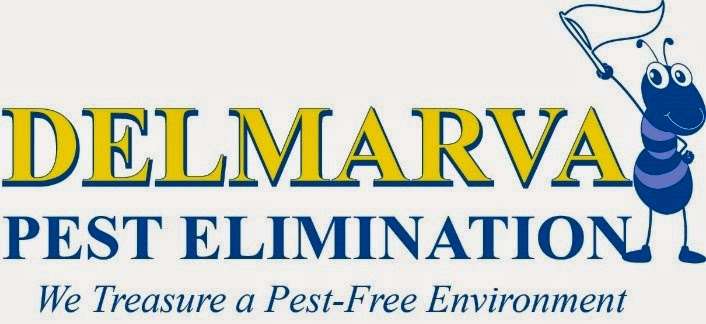 Del Marva Pest Elimination | 1737 St Margarets Rd, Annapolis, MD 21409 | Phone: (844) 335-7378