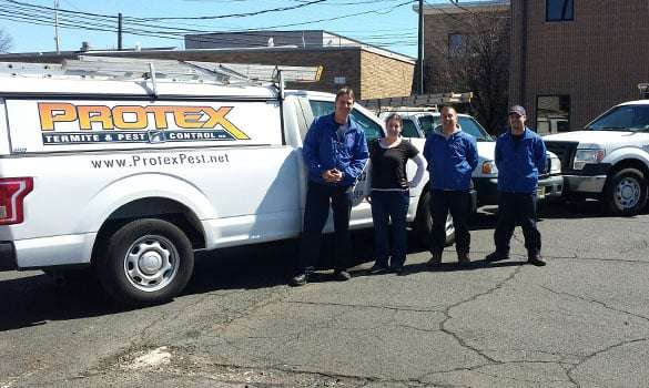 Protex Termite & Pest Control | 398 Lincoln Blvd, Middlesex, NJ 08846, USA | Phone: (732) 873-8001