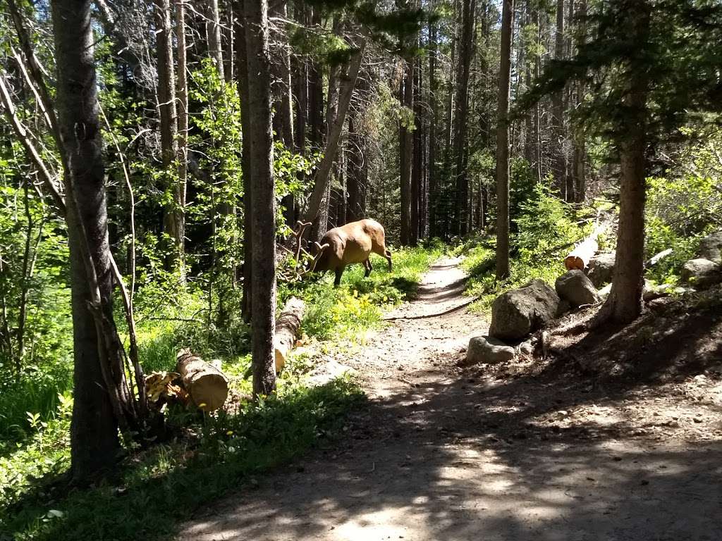 Upper Mill Creek | Estes Park, CO 80517, USA