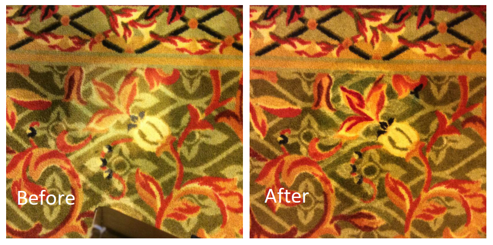 cleaning revolution carpet dyeing | 3803 N Sugar Ln, Bloomington, IN 47404, USA | Phone: (812) 327-6001