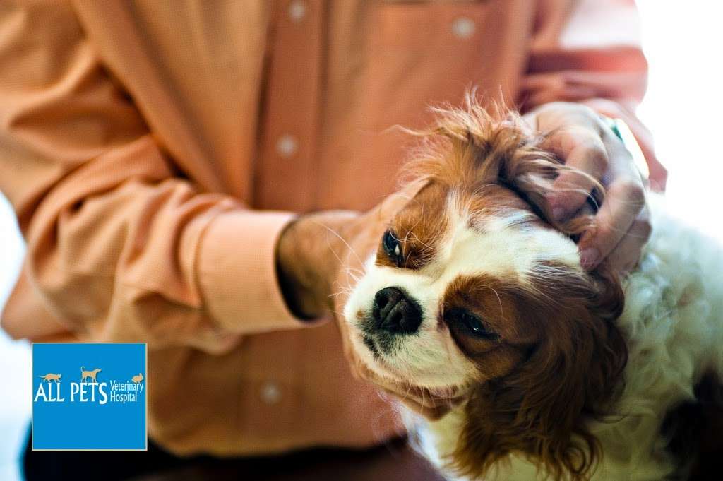All Pets Veterinary Hospital | 915 S Talbot St, St Michaels, MD 21663, USA | Phone: (410) 745-5275