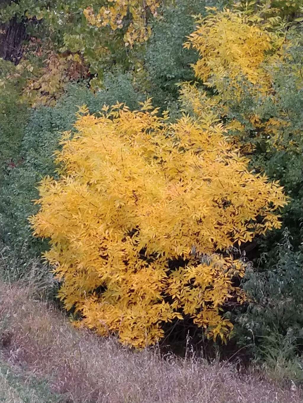 Highline Canal | 39°3806. 104°5556., 0 E 7th Ave, Denver, CO 80203, USA