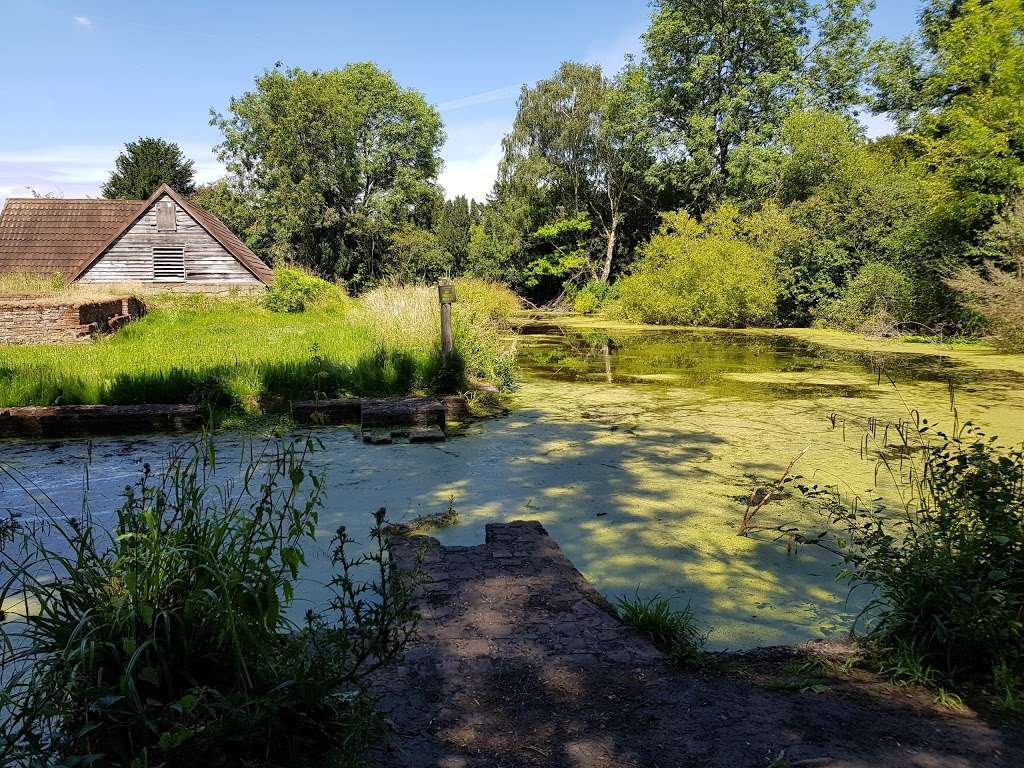 Scadbury Park Nature Reserve | 30 Old Perry St, Chislehurst BR7 6PT, UK | Phone: 0300 303 8658