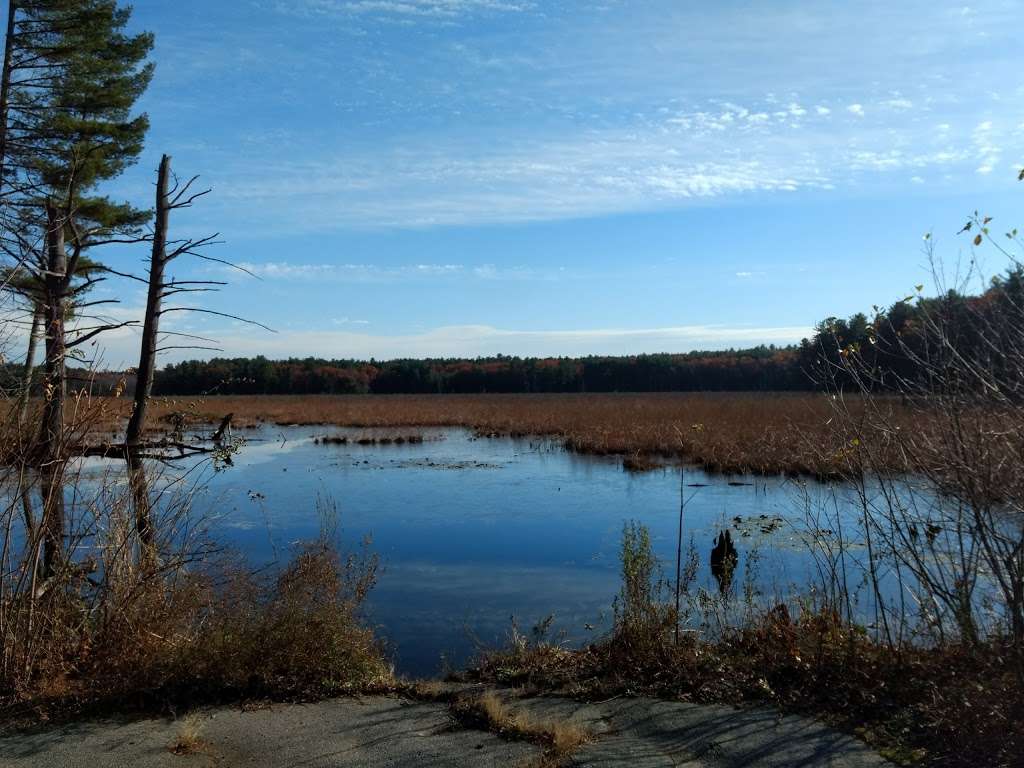 Lowell-Dracut-Tyngsborough State Forest | Trotting Park Rd, Lowell, MA 01854, USA | Phone: (978) 369-6312