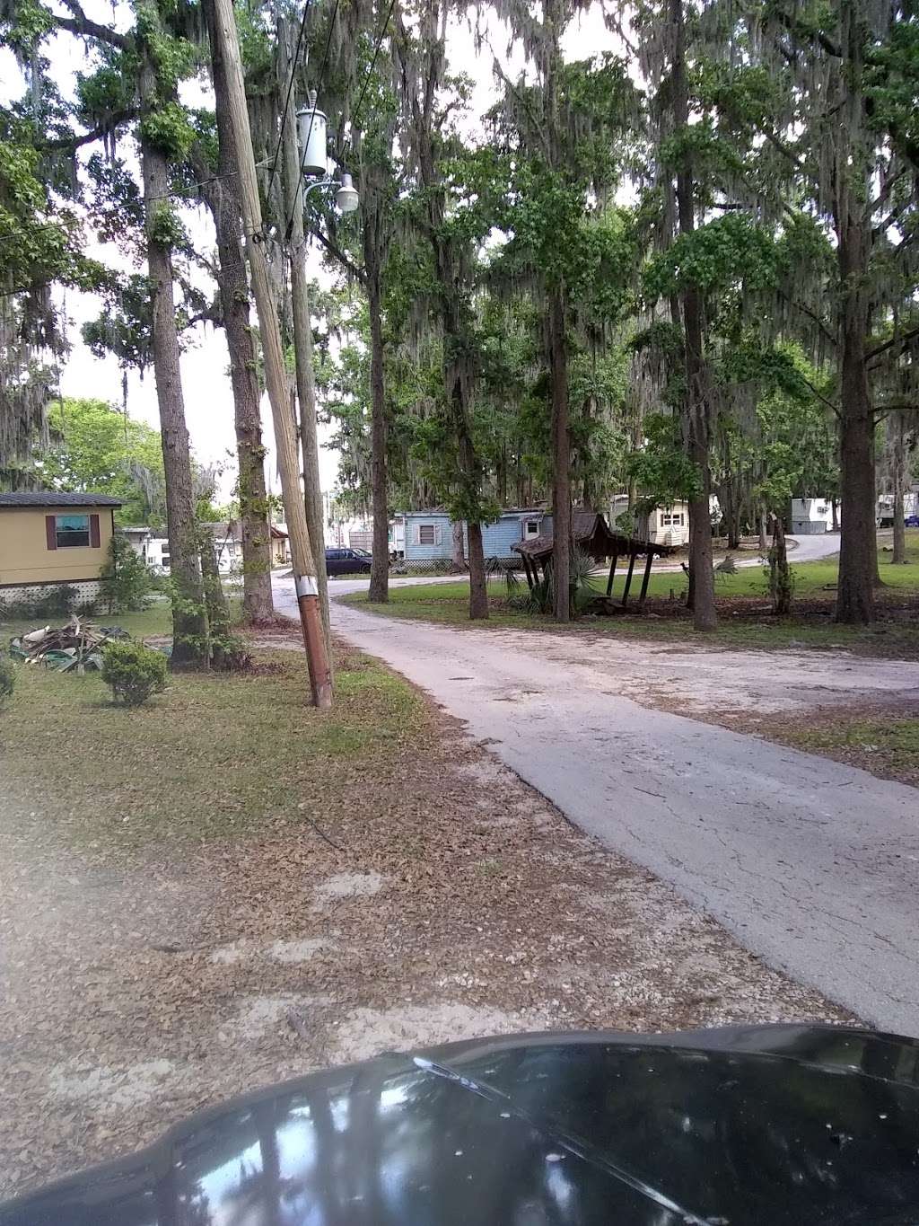 Silver Oaks Campground | 10366 SE, US HWY 441, Belleview, FL 34420, USA | Phone: (352) 245-4820