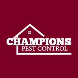 Champions Pest Control | 5859 Louetta Rd, Spring, TX 77379, USA | Phone: (281) 940-7955