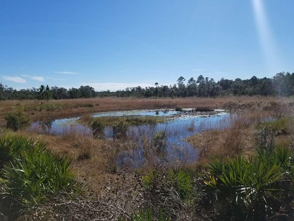 Juniper Prairie Wilderness | East Marion, FL, USA | Phone: (352) 625-2520