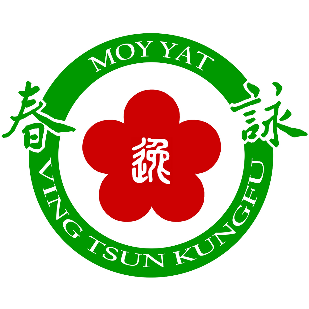 Moy Yat Kung Fu School of Waukesha | 307 W Main St, Waukesha, WI 53186, USA | Phone: (414) 510-0807