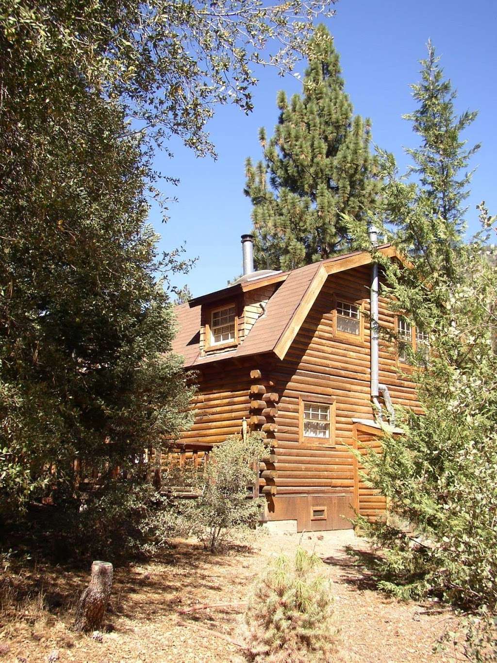 Dancing Bear Cabin | 15900 Edgewood Way, Pine Mountain Club, CA 93222, USA | Phone: (805) 798-1961