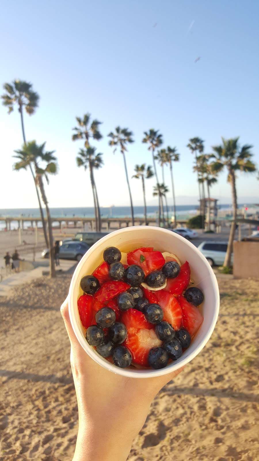 Paradise Bowls | 919 Manhattan Ave, Manhattan Beach, CA 90266, USA | Phone: (310) 798-7100