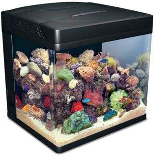 Gulf Reef Aquarium Supplies | 300 Regal #135, Irvine, CA 92620, USA | Phone: (714) 747-3837