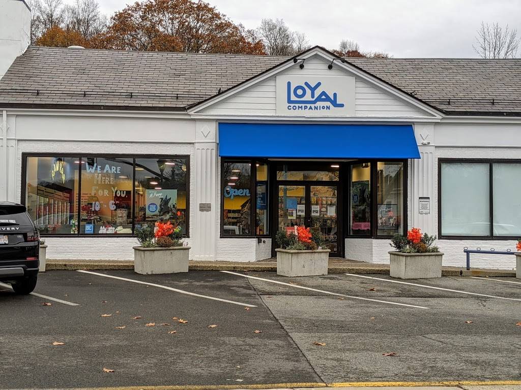 Loyal Companion | 276 Washington St, Wellesley, MA 02481 | Phone: (781) 943-5015