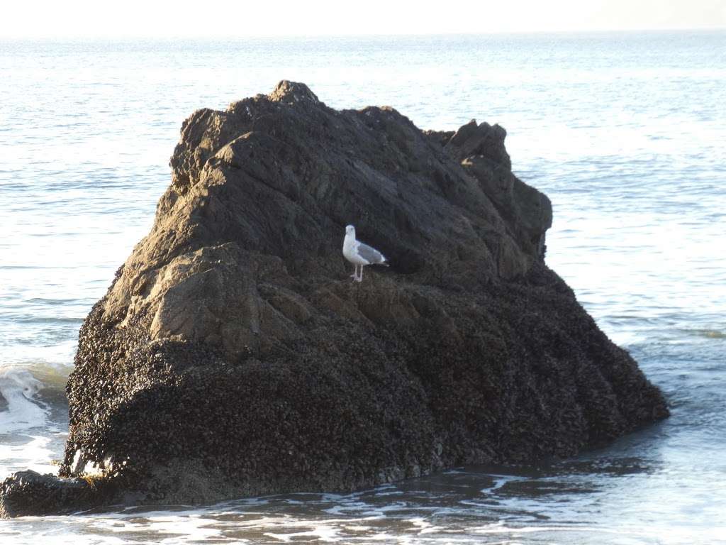 Lands End Trail | Lands End Trail, San Francisco, CA 94121