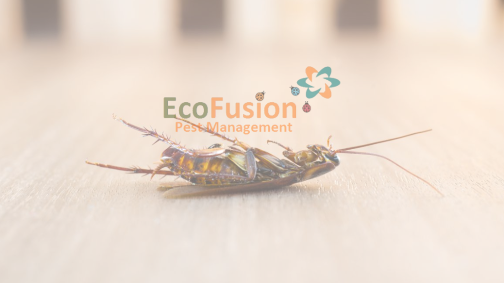 EcoFusion Mosquito & Pest Control | 14 Pierson Pl, Glen Ridge, NJ 07028, United States | Phone: (973) 218-4948