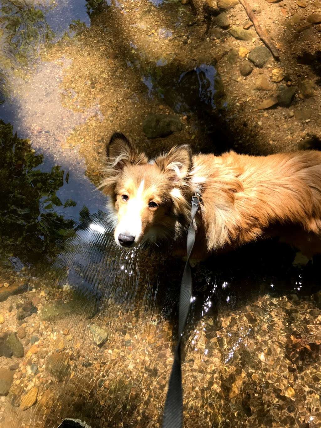 Wyomissing Park System | 1304 Parkside Dr S, Wyomissing, PA 19610, USA