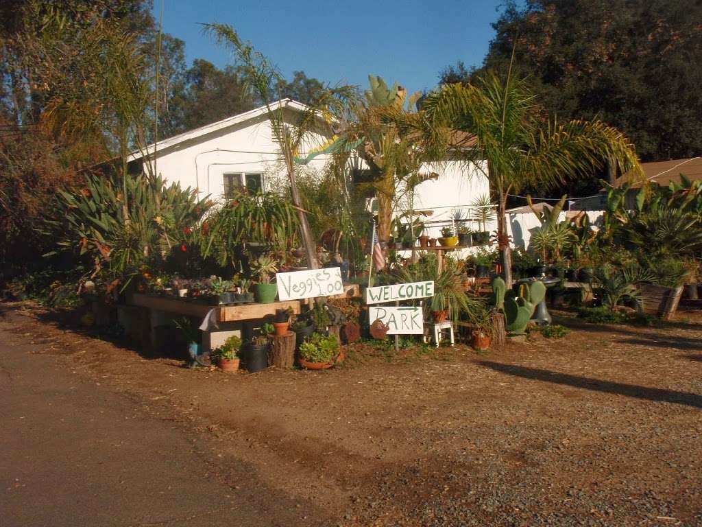 Jamul Nursery | 12931 Campo Rd, Jamul, CA 91935, USA | Phone: (619) 753-7307