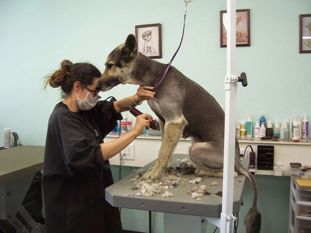 Bavettes Grooming Spa | 603 Francisquito Ave, West Covina, CA 91790, USA | Phone: (626) 917-8214