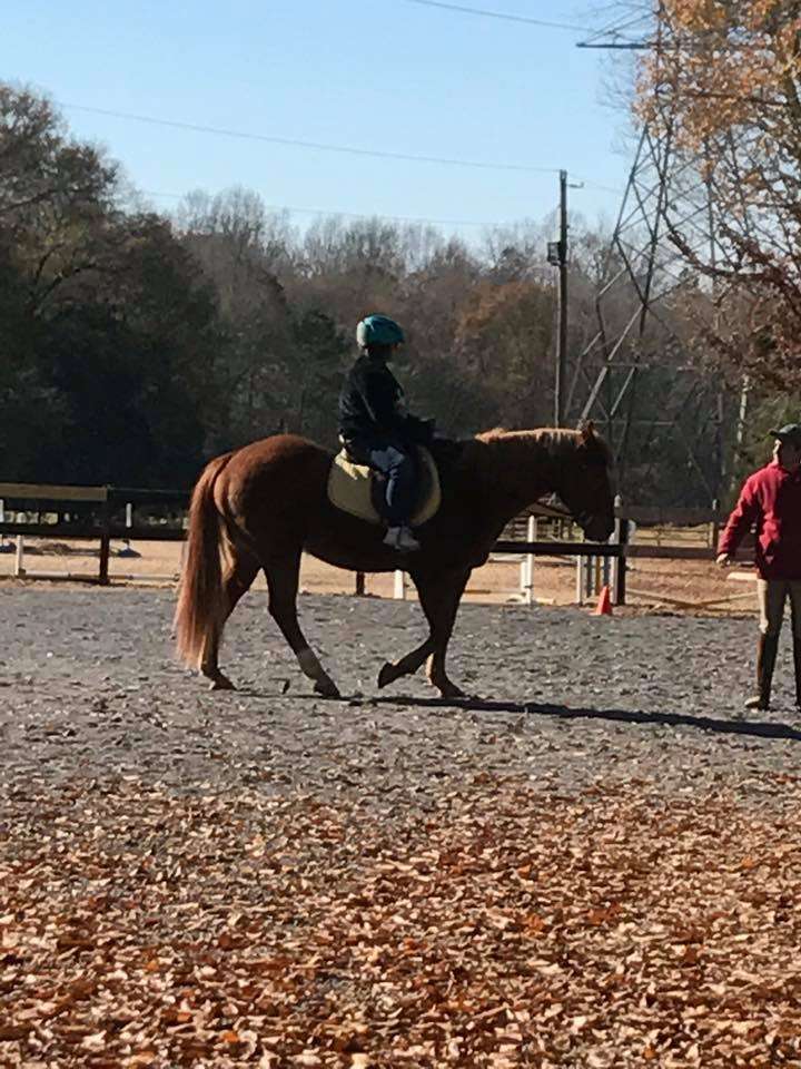 Leg Up Equestrian - English Riding Academy | 6201 Johannes Road, Fort Mill, SC 29707 | Phone: (803) 230-8121