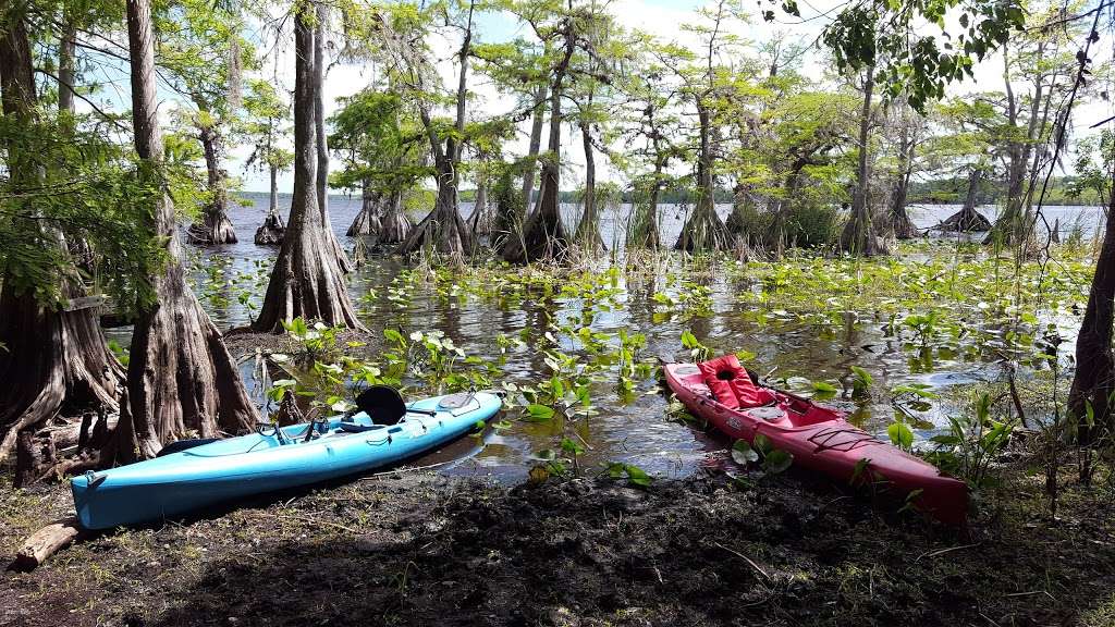 Lake Norris Conservation Area | Eustis, FL 32736, USA | Phone: (352) 343-3777