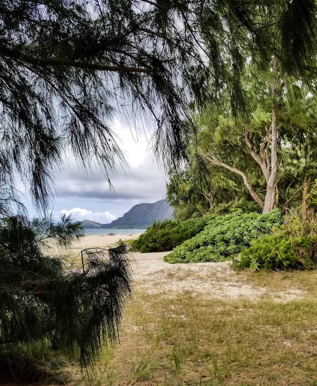 Bellows Field Beach Park Campground | 41-43 Kalanianaʻole Hwy, Waimanalo, HI 96795, USA | Phone: (808) 768-3003