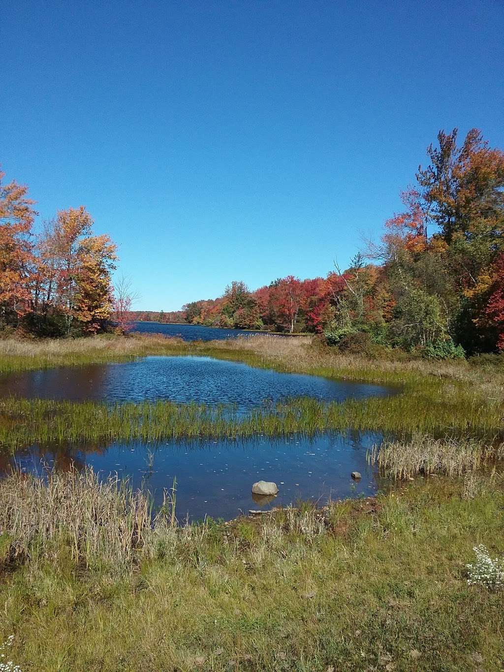 Bradys Pond Trail | Pocono Lake, PA 18347