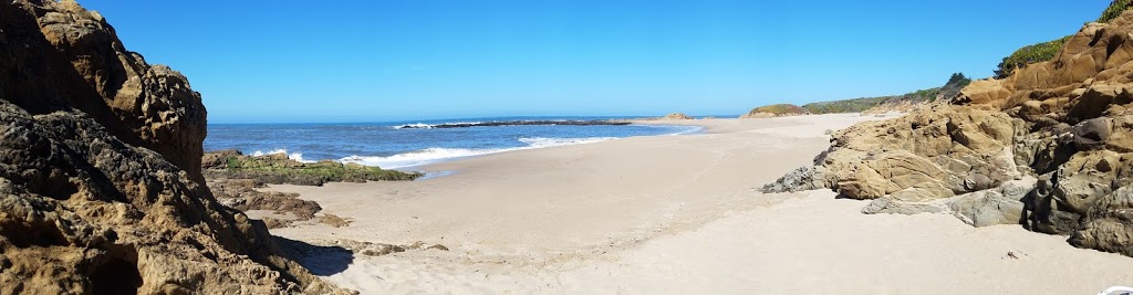 Bean Hollow State Beach | New Years Creek Rd, Pescadero, CA 94060, USA | Phone: (650) 726-8819