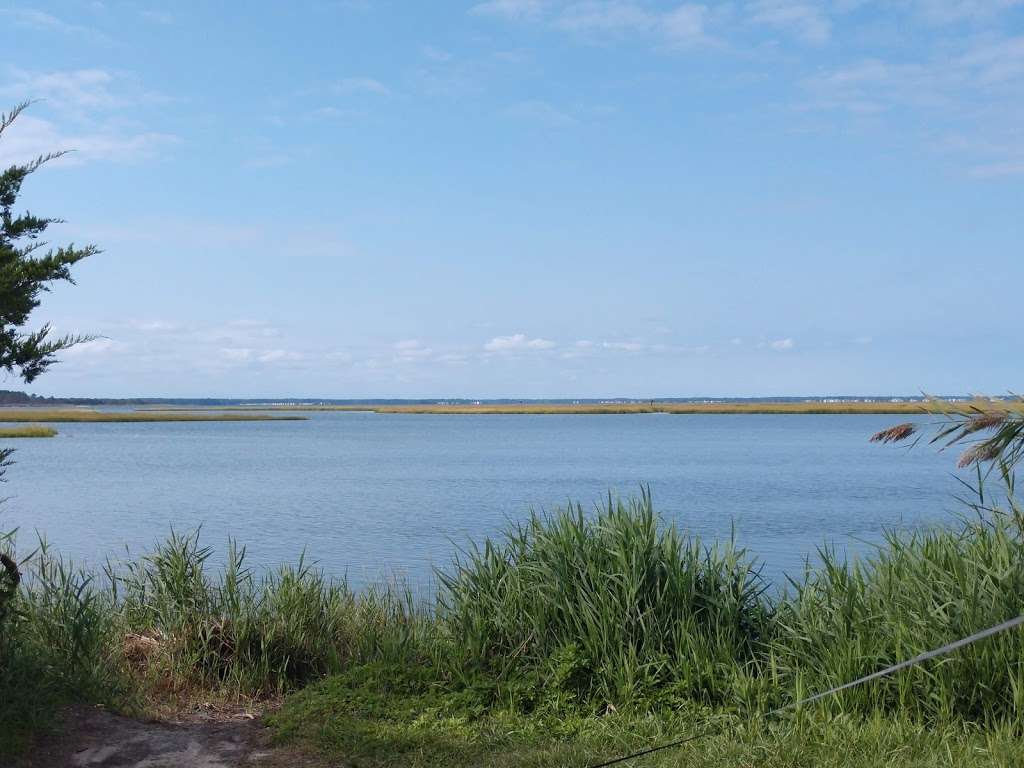 Burton Island Trailhead | 39401 Inlet Rd, Rehoboth Beach, DE 19971, USA