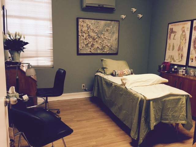 Acupuncture by Dr. Halina O’Neill | 370 Camino Gardens Blvd #113, Boca Raton, FL 33432, USA | Phone: (561) 251-6676