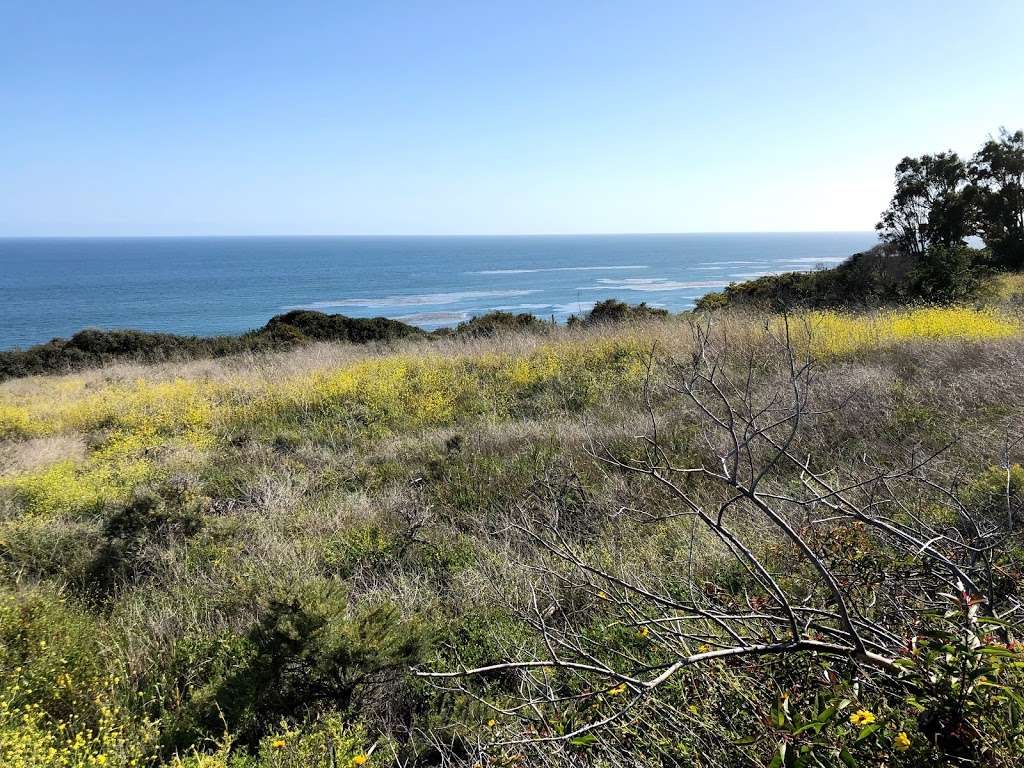 Robert H. Meyer Memorial State Beach | Malibu, CA 90265, USA | Phone: (818) 880-0363