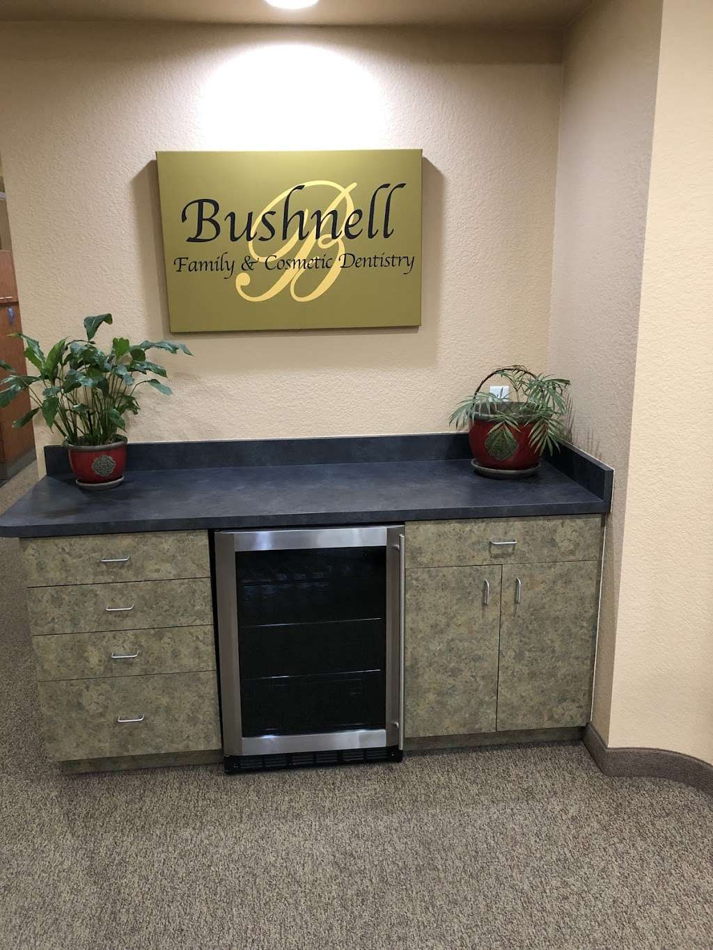 Bushnell Family & Cosmetic Dentistry | 65 Old Airport Rd, Bushnell, FL 33513, USA | Phone: (352) 569-0100