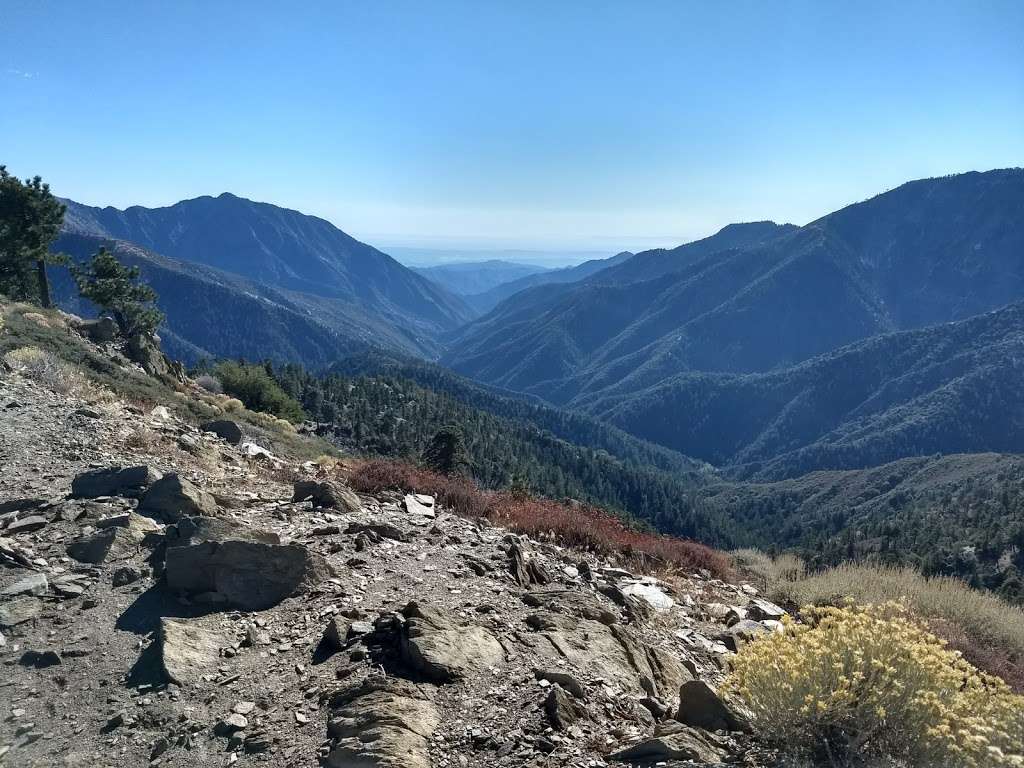 Blue Ridge Trail | Wrightwood, CA 92397, USA