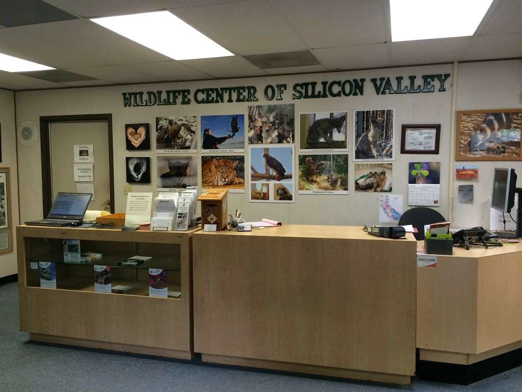Wildlife Center of Silicon Valley | 3027 Penitencia Creek Rd, San Jose, CA 95132, USA | Phone: (408) 929-9453