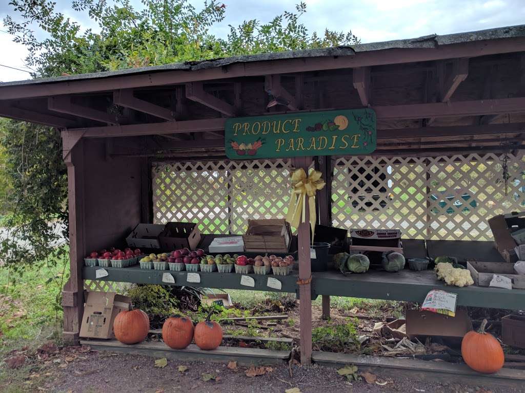 Produce Paradise | 325 Clarksburg-Robbinsville Rd, Trenton, NJ 08691, USA