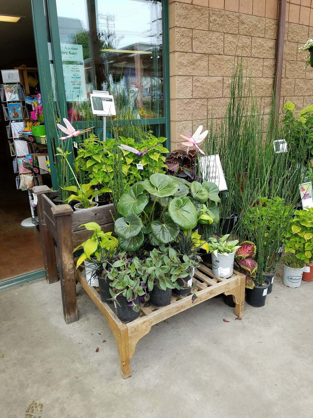 Sloat Garden Center | 2700 Sloat Blvd, San Francisco, CA 94116, USA | Phone: (415) 566-4415