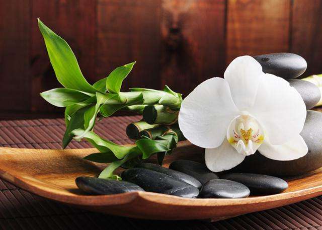 Lotus Hands SPA | 5309 E Independence Blvd Ste, G, Charlotte, NC 28212, USA | Phone: (704) 931-8833