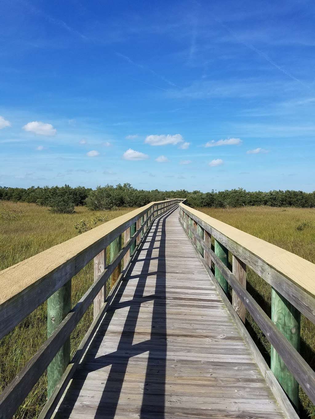 Ponce Preserve | Ponce Inlet, FL 32127, USA