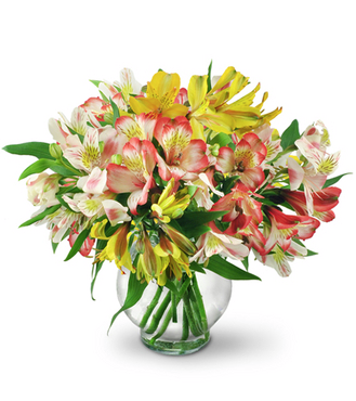 Rockland Florist | 8 Old Haverstraw Rd, Congers, NY 10920 | Phone: (845) 589-0468