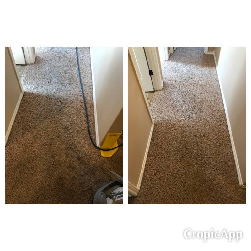 Bullseye Carpet Cleaning | 3485 N Cole Rd Suite 4566, Boise, ID 83704, USA | Phone: (208) 343-0833