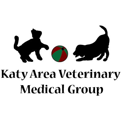 Katy Area Veterinary Medical Group | #A, 20920 Highland Knolls Dr, Katy, TX 77450, USA | Phone: (281) 398-1551