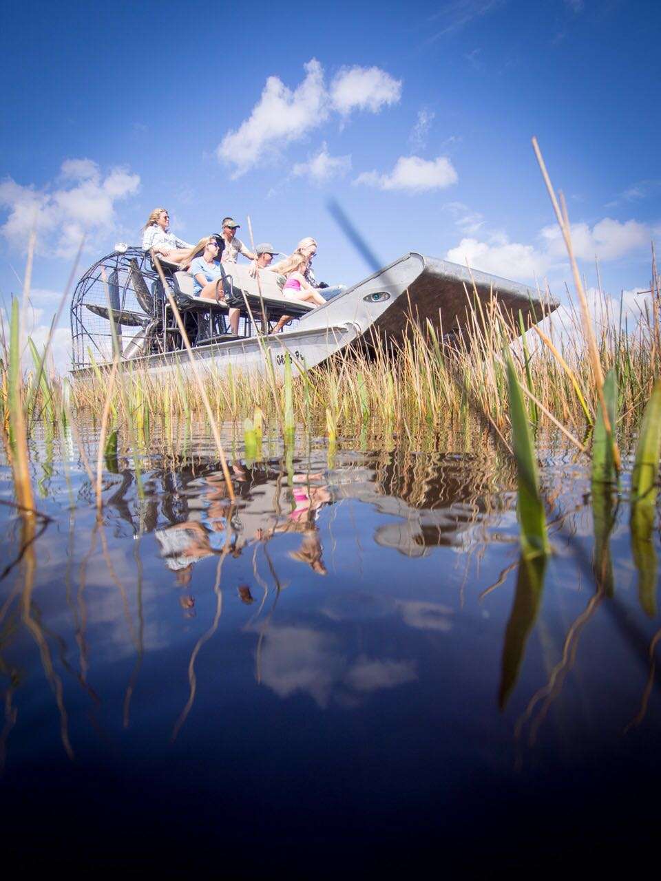 Airboat Rides Miami | 24050 SW 8th St, Miami, FL 33194, USA | Phone: (305) 559-2255