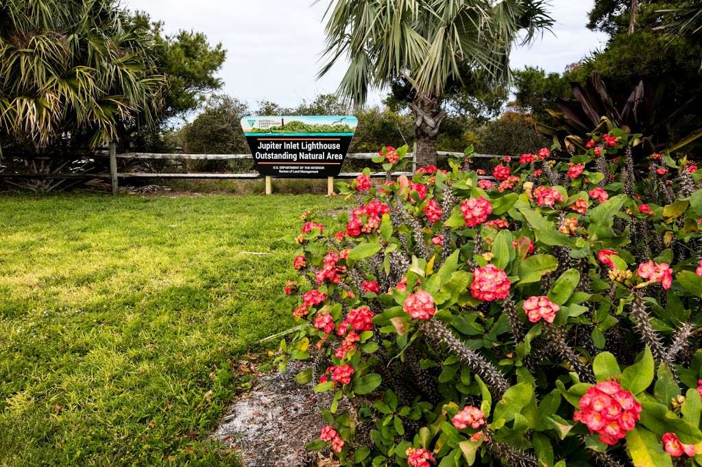 Jupiter Inlet Lighthouse Outstanding Natural Area | 600 County Hwy 707, Tequesta, FL 33469, USA | Phone: (561) 295-5953