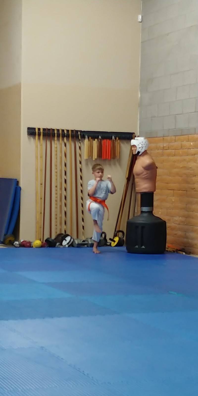 Hughes Karate-Do | 855 S Bogle Ave, Chandler, AZ 85225, USA | Phone: (480) 720-3832